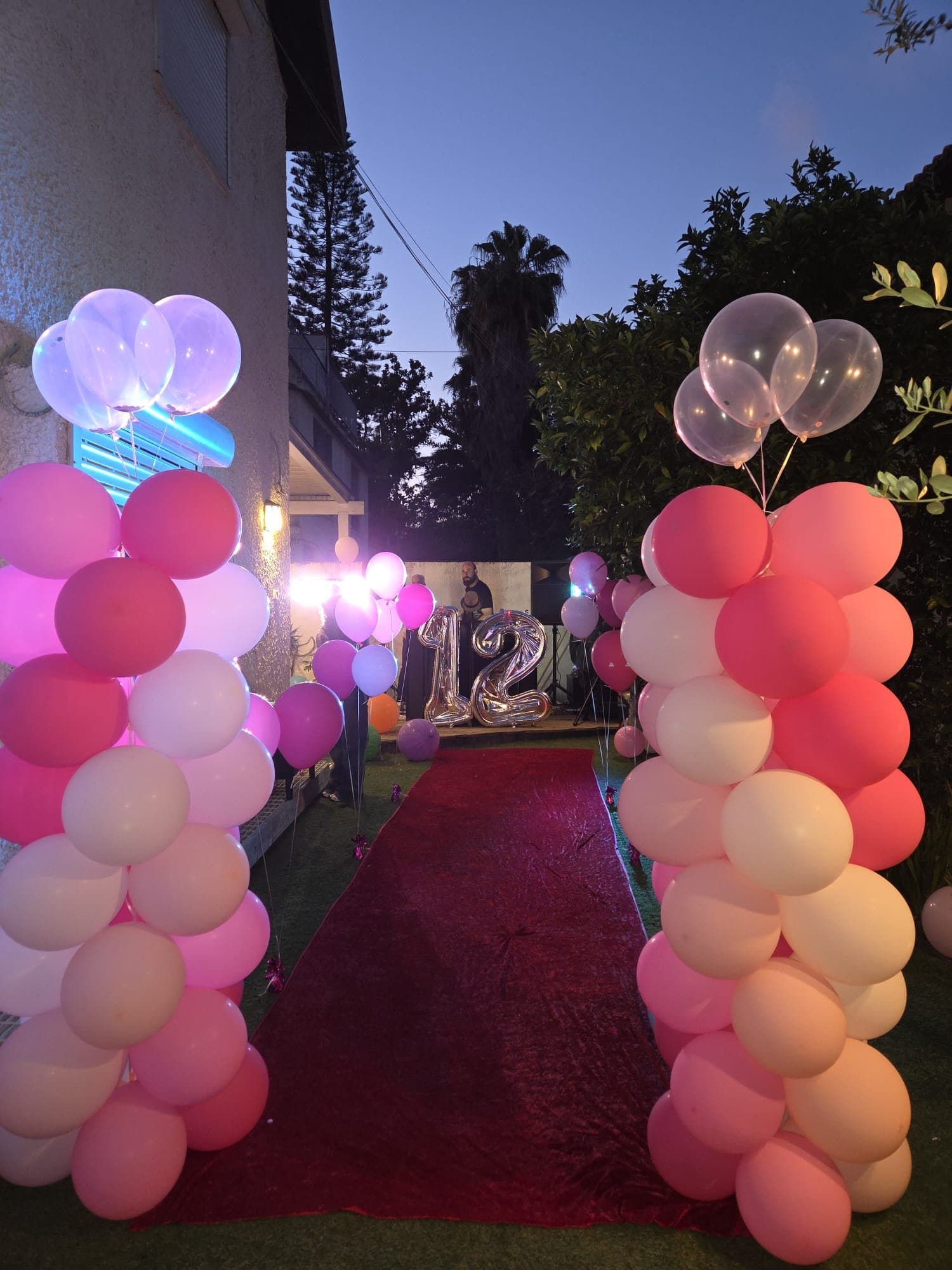 Bat Mitzvah Celebration — photo 1